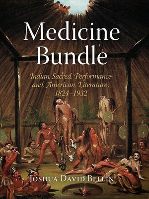 cover image of Medicine Bundle